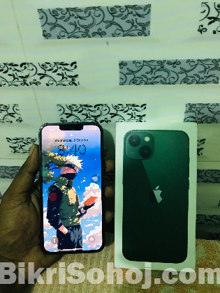 iPhone 13 (256)